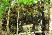 Riportate alla luce due antiche città Maya