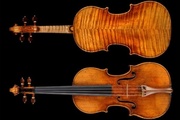 Museo del Violino - Il Cremonese