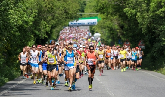 Green European Marathon 2015