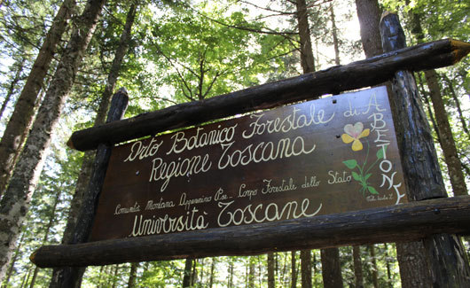 Apertura Orto Botanico Forestale dell'Abetone