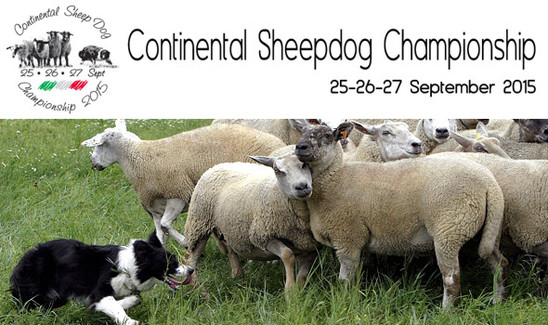 Continental Sheepdog Championship 2015